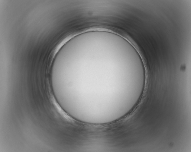 X0000112800909200908211000