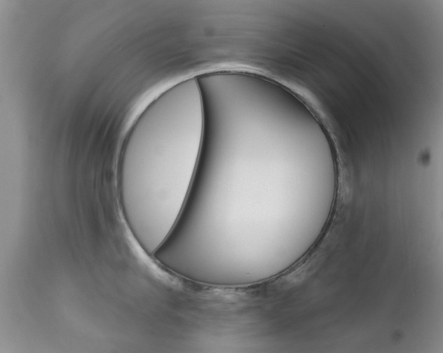 X0000112800910200908211000