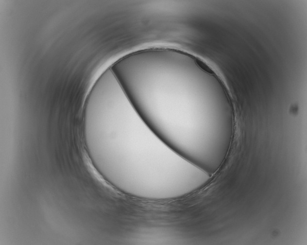 X0000112800911200908211000