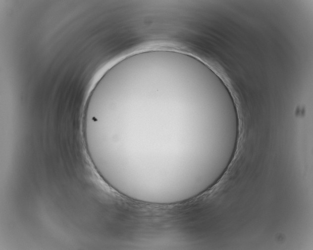 X0000112800912200908211000