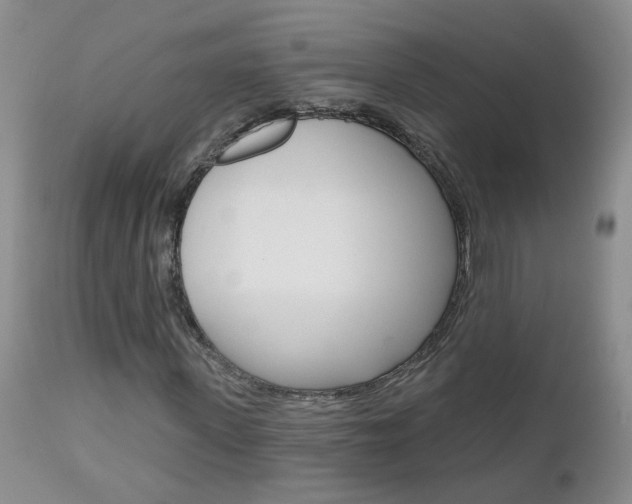X0000112800915200908210959