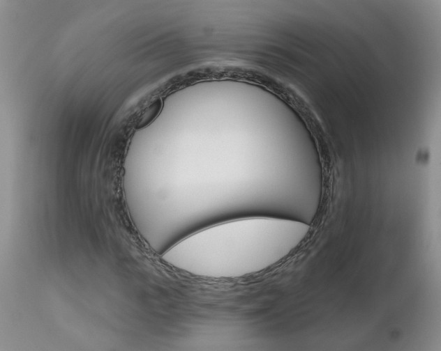 X0000112800919200908210959