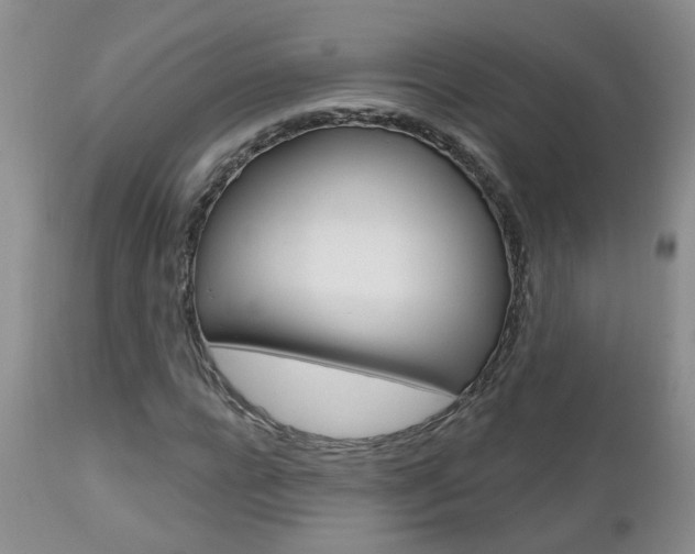 X0000112800920200908210959
