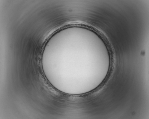 X0000112800921200908210959
