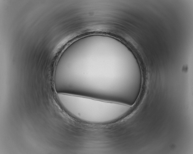 X0000112800922200908210959