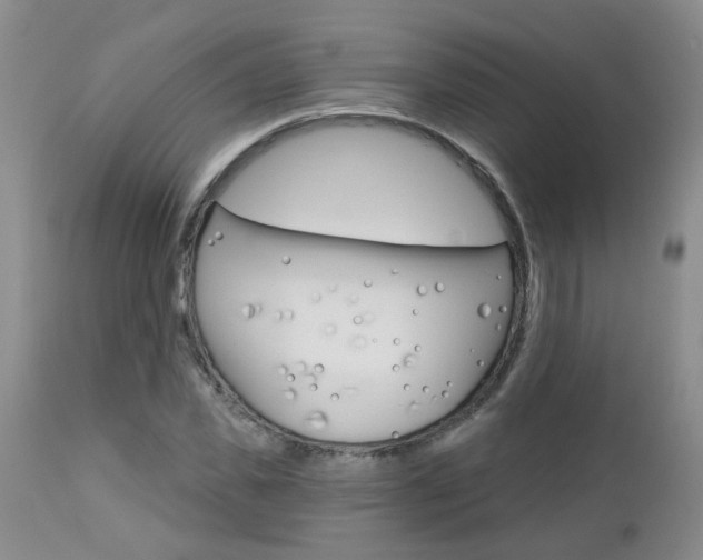 X0000112800925200908210959