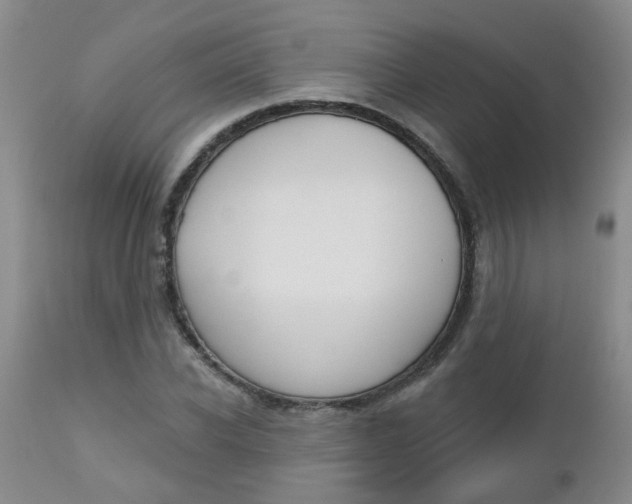 X0000112800926200908210959