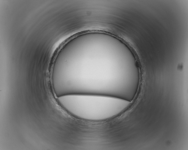X0000112800928200908210959
