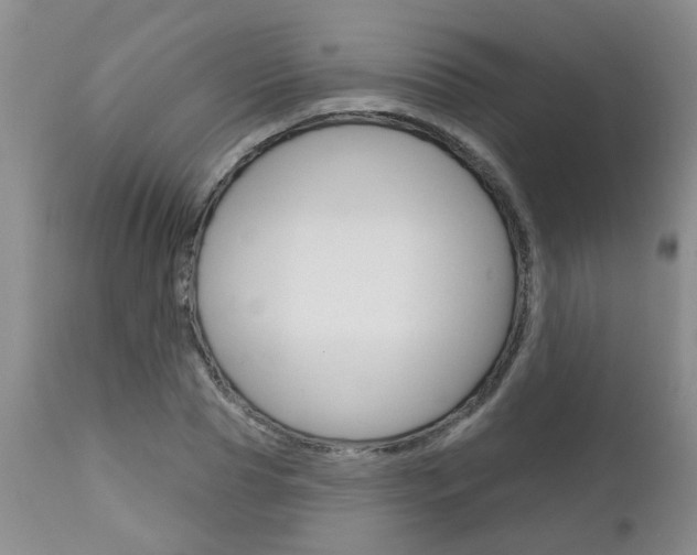 X0000112800929200908210959