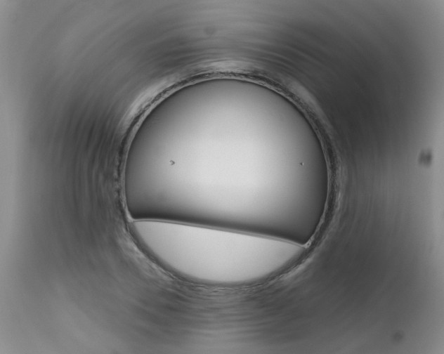 X0000112800930200908210959