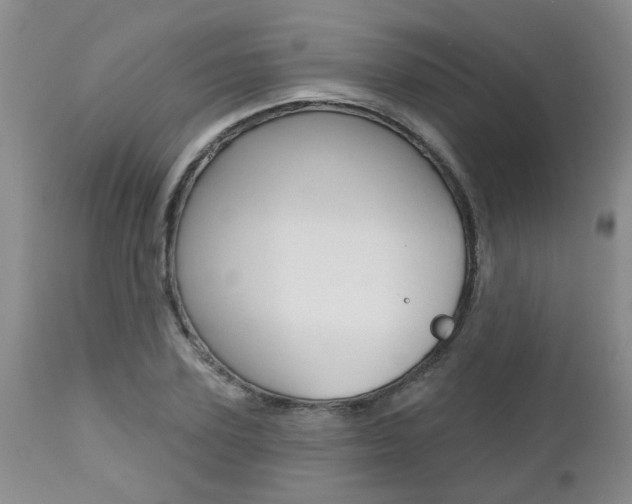 X0000112800931200908210959