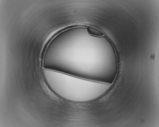 X0000112800932200908210959
