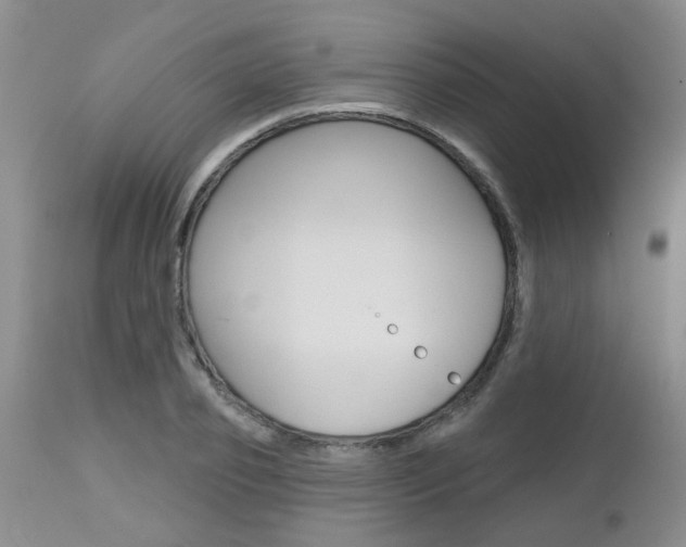 X0000112800933200908210959