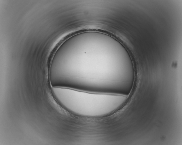 X0000112800934200908210959