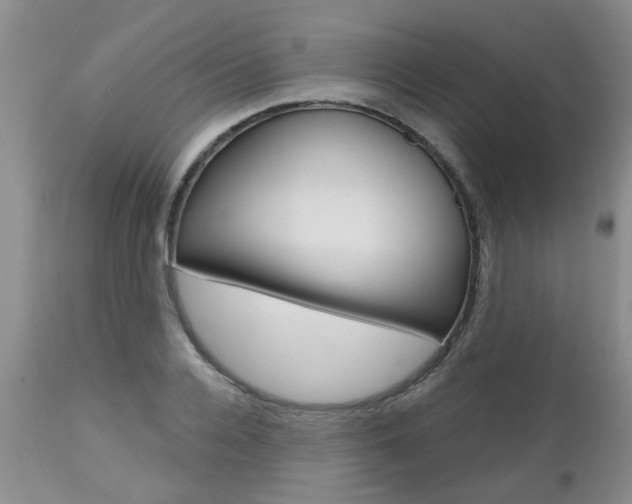 X0000112800936200908210959