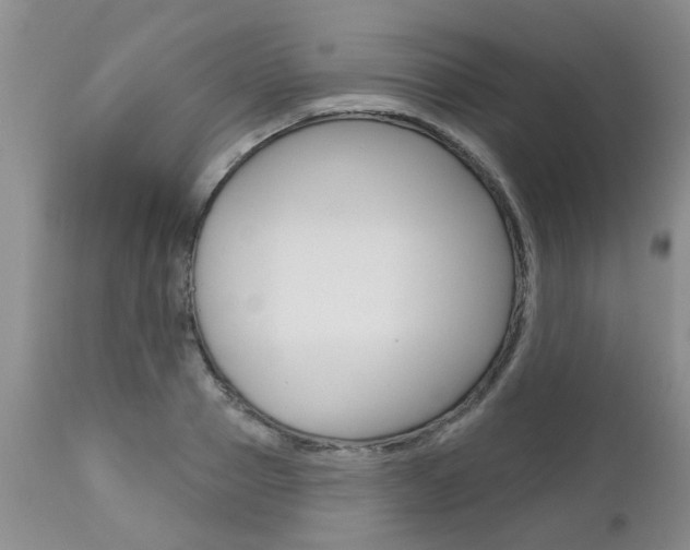X0000112800937200908210959