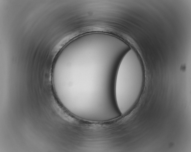 X0000112800938200908210959