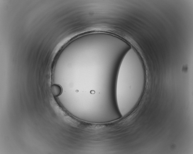 X0000112800939200908210959