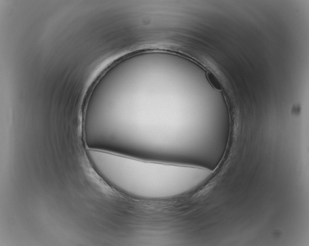 X0000112800940200908210959