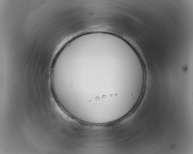X0000112800941200908210959