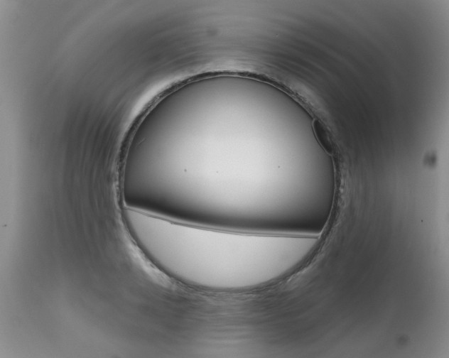 X0000112800942200908210959
