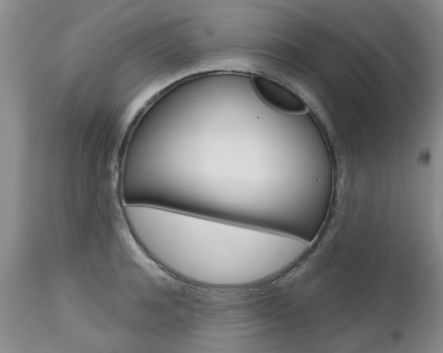 X0000112800944200908210959