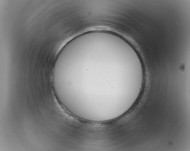 X0000112800945200908210959