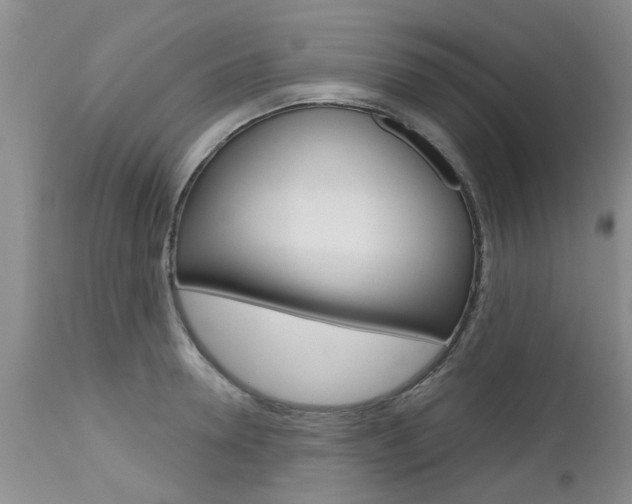 X0000112800946200908211000