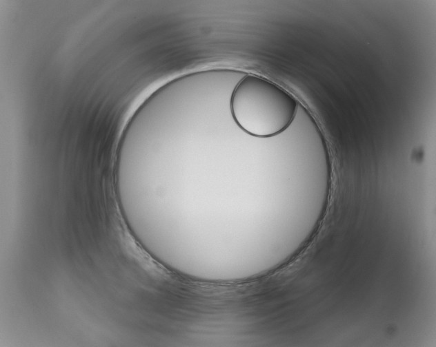 X0000112800948200908211000
