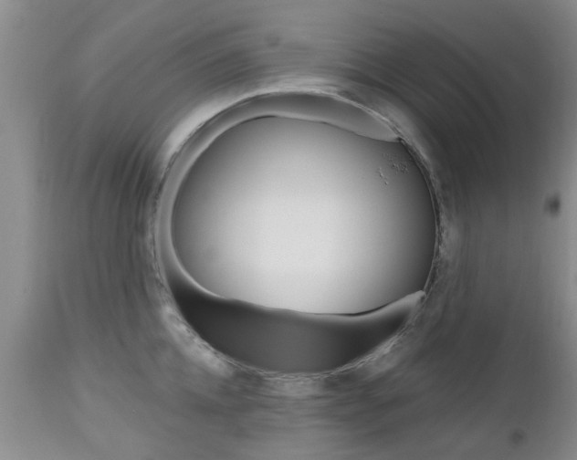 X0000112800952200908211000