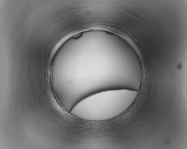 X0000112800955200908211000