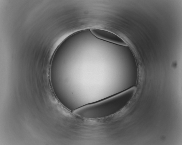 X0000112800956200908211000