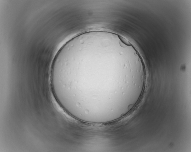 X0000112800957200908211000