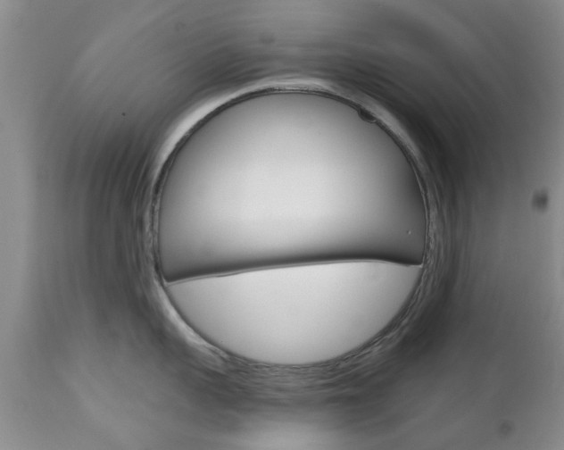 X0000112800959200908211000
