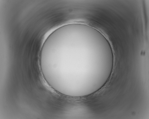 X0000112800960200908211000