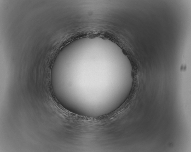 X0000112800961200908210959