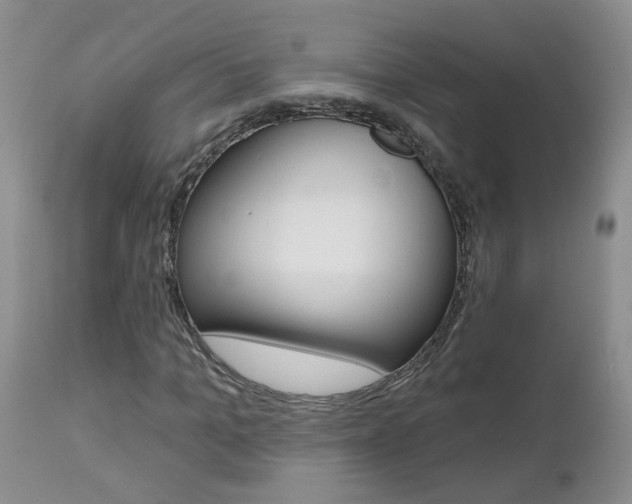 X0000112800965200908210959