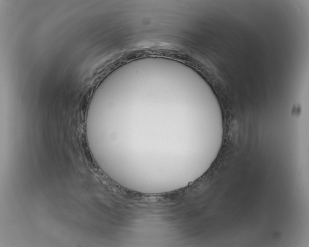 X0000112800966200908210959