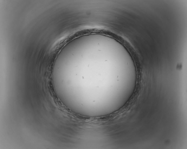 X0000112800967200908210959