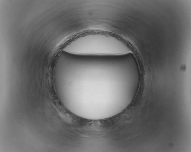 X0000112800968200908210959