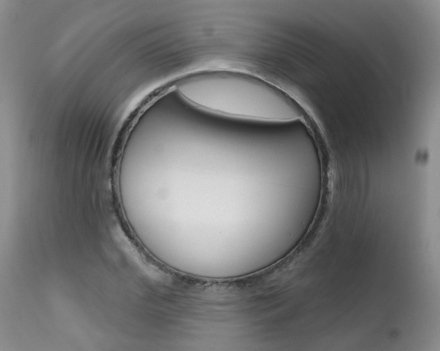 X0000112800972200908210959
