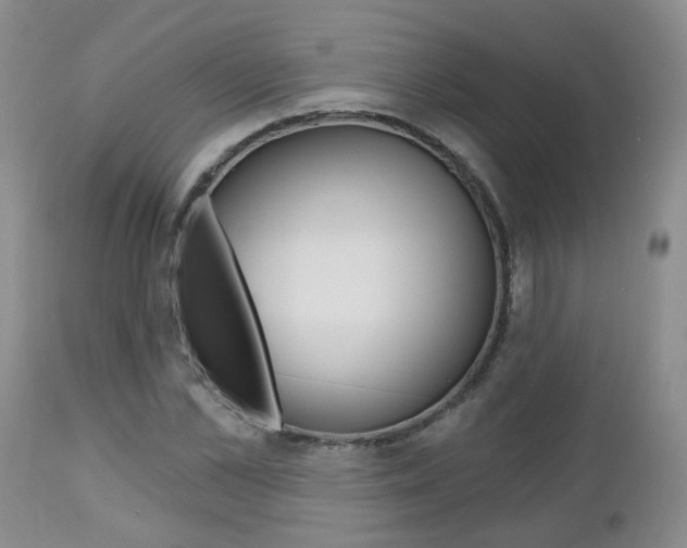 X0000112800973200908210959