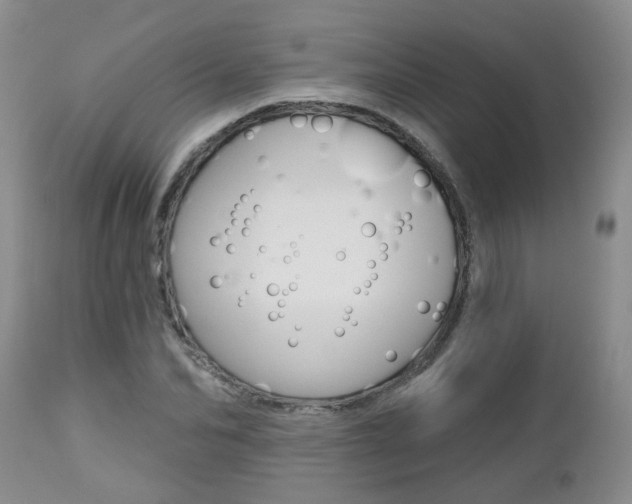 X0000112800974200908210959