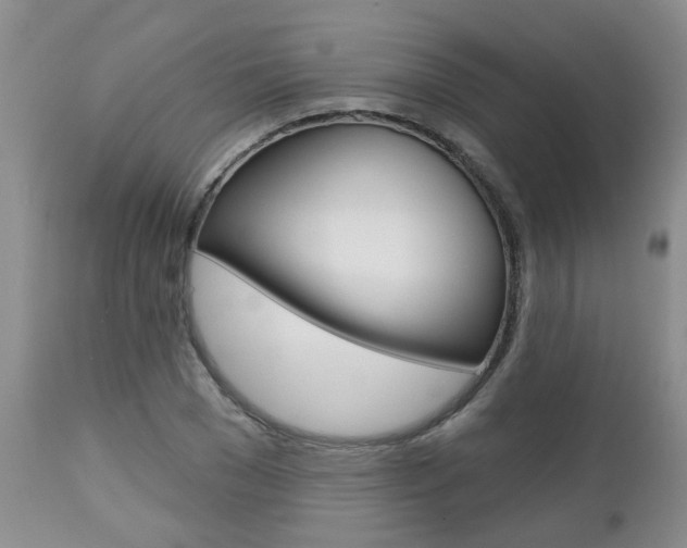 X0000112800977200908210959