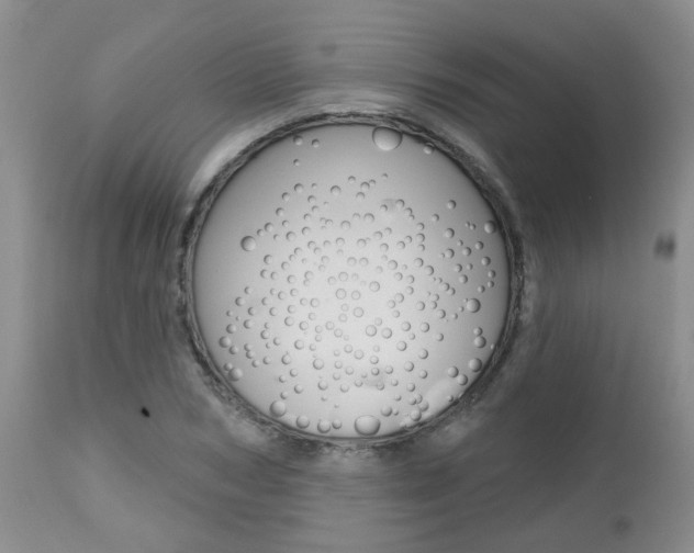 X0000112800978200908210959