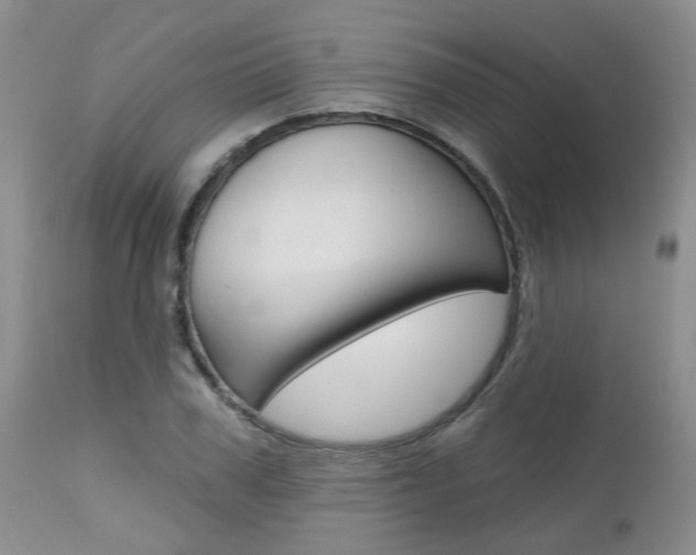 X0000112800979200908210959