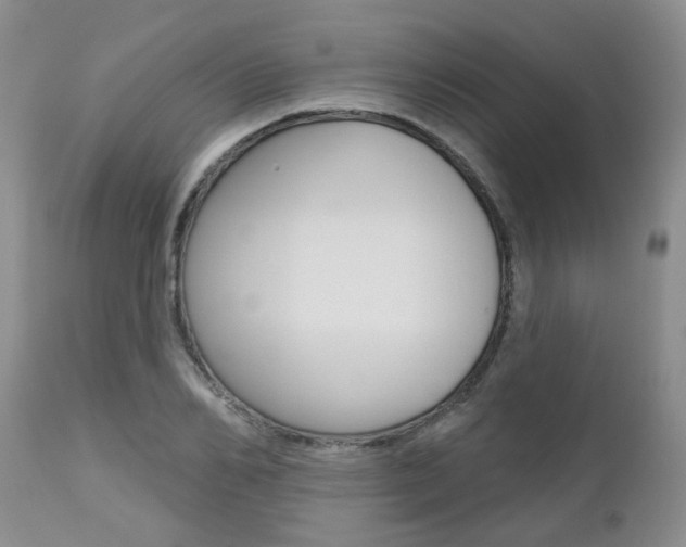 X0000112800982200908210959