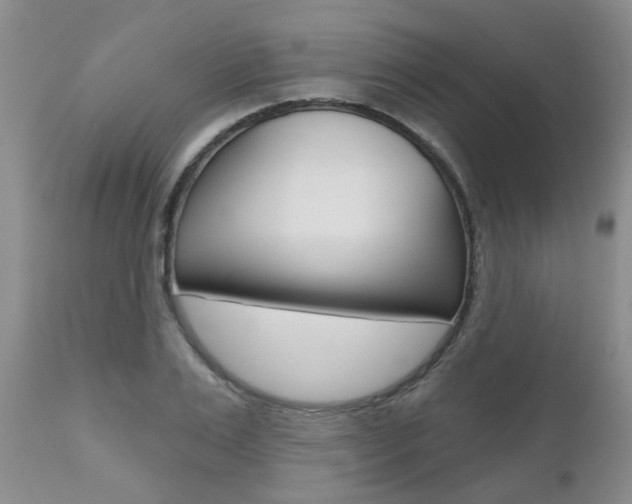 X0000112800983200908210959