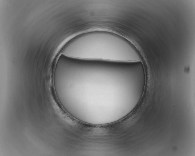 X0000112800984200908210959