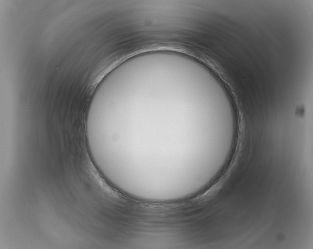 X0000112800985200908210959